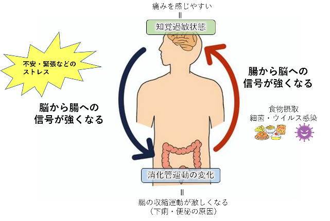 過敏 性 腸 症候群 気 にし すぎ